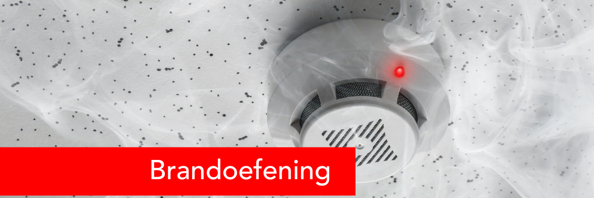 Brogaal website blog foto's rook